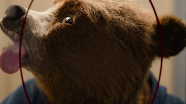 Szenenbild aus "Paddington in Peru" | Bild: StudioCanal