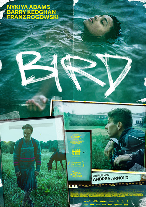 Filmplakat zu "Bird" | Bild: Filmagentinnen